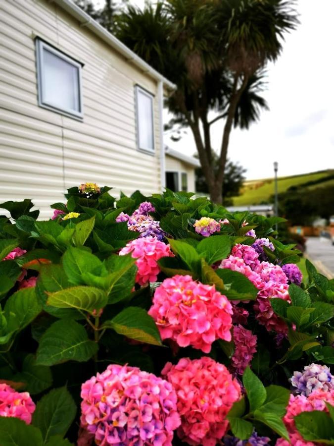 Newquay Buy Resort Holiday Exterior photo